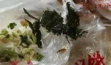 烧饼泡澡爆料视频在线观看,揭秘网红泡澡新潮流